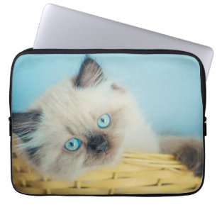Kutest Baby Animals Himalayan Seal Point Cat Laptop Sleeve