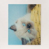 Kutest Baby Animals | Himalayan Seal Point Cat Legpuzzel (Verticaal)