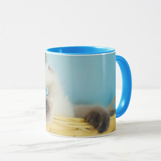 Kutest Baby Animals | Himalayan Seal Point Cat Mok (Voorkant rechts)