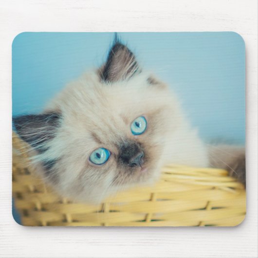 Kutest Baby Animals | Himalayan Seal Point Cat Muismat (Voorkant)