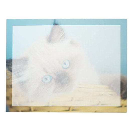 Kutest Baby Animals | Himalayan Seal Point Cat Notitieblok (Voorkant)