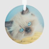 Kutest Baby Animals | Himalayan Seal Point Cat Ornament (achterkant)