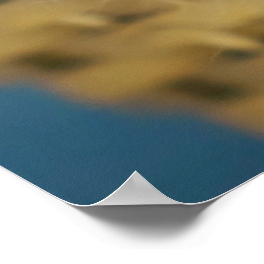 Kutest Baby Animals | Himalayan Seal Point Cat Poster (Hoek)