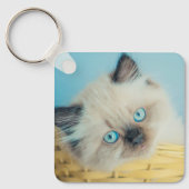 Kutest Baby Animals | Himalayan Seal Point Cat Sleutelhanger (Voorkant)