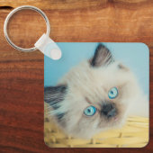 Kutest Baby Animals | Himalayan Seal Point Cat Sleutelhanger (Voorkant)