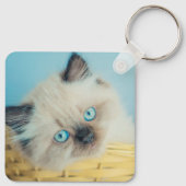 Kutest Baby Animals | Himalayan Seal Point Cat Sleutelhanger (Achterkant)