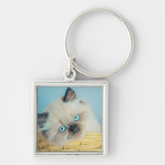 Kutest Baby Animals | Himalayan Seal Point Cat Sleutelhanger (Voorkant)