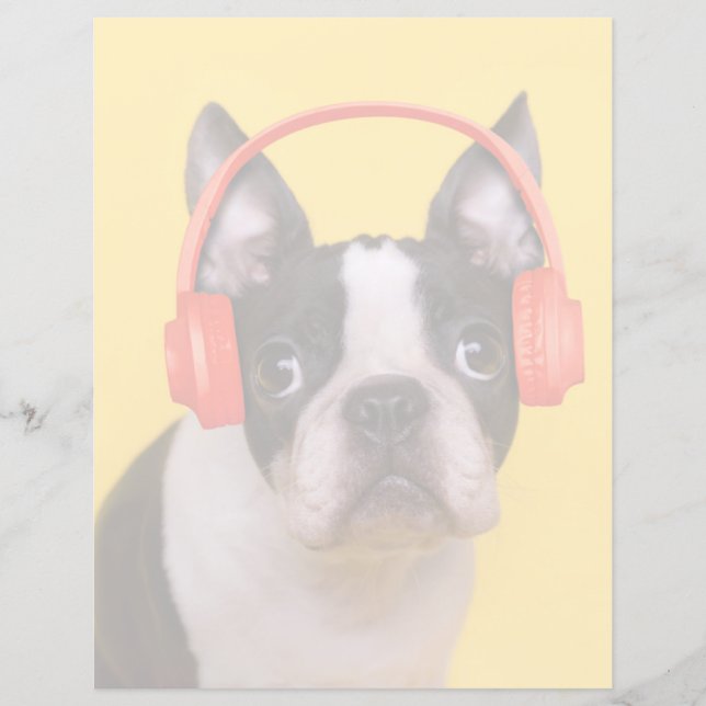 Kutest Baby Animals | Hoofdtelefoon van Boston Ter (Voorkant)