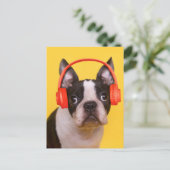 Kutest Baby Animals | Hoofdtelefoon van Boston Ter Briefkaart (Staand voorkant)