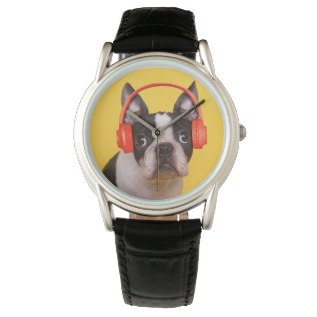 Kutest Baby Animals | Hoofdtelefoon van Boston Ter Horloge (Voorkant)