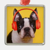 Kutest Baby Animals | Hoofdtelefoon van Boston Ter Metalen Ornament (Voorkant)