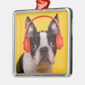 Kutest Baby Animals | Hoofdtelefoon van Boston Ter Metalen Ornament (Links)