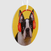 Kutest Baby Animals | Hoofdtelefoon van Boston Ter Ornament (voorkant)