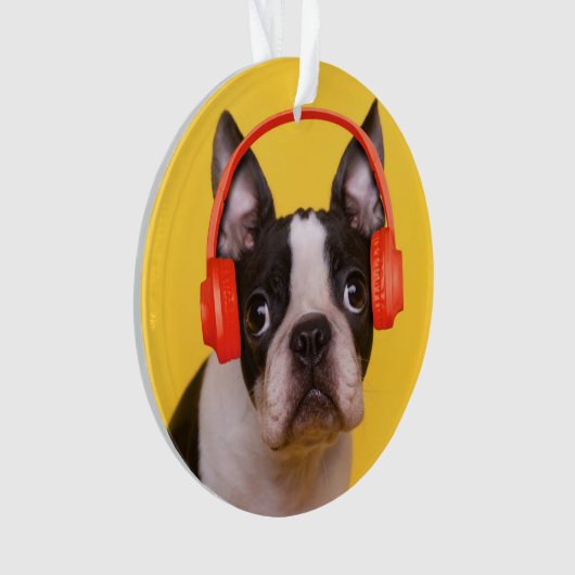 Kutest Baby Animals | Hoofdtelefoon van Boston Ter Ornament (voorkant)