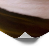 Kutest Baby Animals | Hoofdtelefoon van Boston Ter Poster (Hoek)