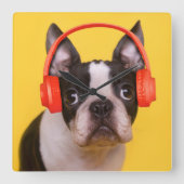 Kutest Baby Animals | Hoofdtelefoon van Boston Ter Vierkante Klok (Voorkant)