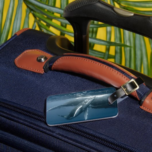 Kutest Baby Animals | Humpback Whale Calf Bagagelabel (Voorkant Insitu 3)