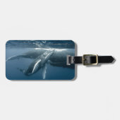 Kutest Baby Animals | Humpback Whale Calf Bagagelabel (Voorkant horizontaal)