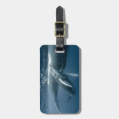 Kutest Baby Animals | Humpback Whale Calf Bagagelabel (Voorkant verticaal)