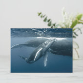 Kutest Baby Animals | Humpback Whale Calf Bedankkaart (Staand voorkant)