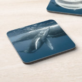 Kutest Baby Animals | Humpback Whale Calf Bier Onderzetter (Linkerzijde)