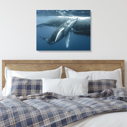 Kutest Baby Animals | Humpback Whale Calf Canvas Afdruk (Insitu (Slaapkamer))