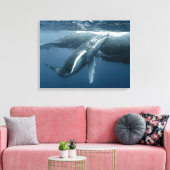Kutest Baby Animals | Humpback Whale Calf Canvas Afdruk (Insitu (Woonkamer))