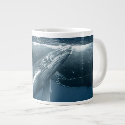 Kutest Baby Animals | Humpback Whale Calf Grote Koffiekop (Voorkant rechts)