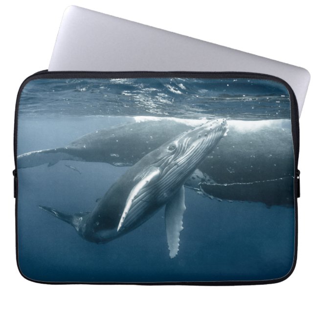 Kutest Baby Animals | Humpback Whale Calf Laptop Sleeve (Voorkant)