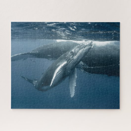 Kutest Baby Animals | Humpback Whale Calf Legpuzzel (Horizontaal)