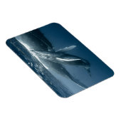 Kutest Baby Animals | Humpback Whale Calf Magneet (Rechterzijde)