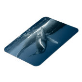 Kutest Baby Animals | Humpback Whale Calf Magneet (Linkerzijde)