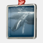 Kutest Baby Animals | Humpback Whale Calf Metalen Ornament (Links)