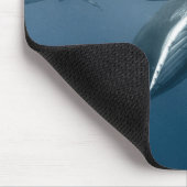 Kutest Baby Animals | Humpback Whale Calf Muismat (Hoek)