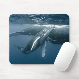 Kutest Baby Animals   Humpback Whale Calf Muismat