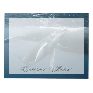 Kutest Baby Animals   Humpback Whale Calf Notitieblok