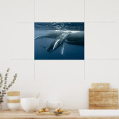 Kutest Baby Animals | Humpback Whale Calf Poster (Keuken)