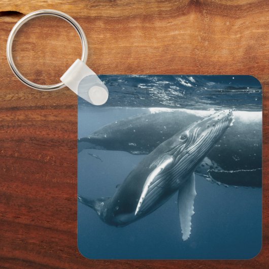 Kutest Baby Animals | Humpback Whale Calf Sleutelhanger (Voorkant)