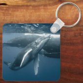 Kutest Baby Animals | Humpback Whale Calf Sleutelhanger (Achterkant)