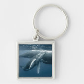 Kutest Baby Animals | Humpback Whale Calf Sleutelhanger (Voorkant)