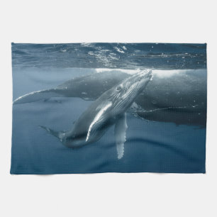 Kutest Baby Animals Humpback Whale Calf Theedoek