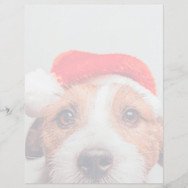 Kutest Baby Animals | Jack Russell Dog Santa Claus (Voorkant)