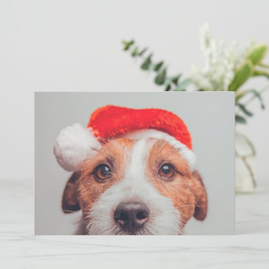Kutest Baby Animals | Jack Russell Dog Santa Claus Bedankkaart (Staand voorkant)