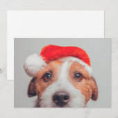 Kutest Baby Animals | Jack Russell Dog Santa Claus Bedankkaart (Voorkant / Achterkant)