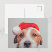 Kutest Baby Animals | Jack Russell Dog Santa Claus Briefkaart (Voorkant / Achterkant)