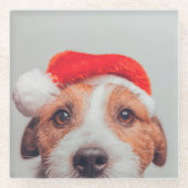 Kutest Baby Animals | Jack Russell Dog Santa Claus Glazen Onderzetter (Voorkant)