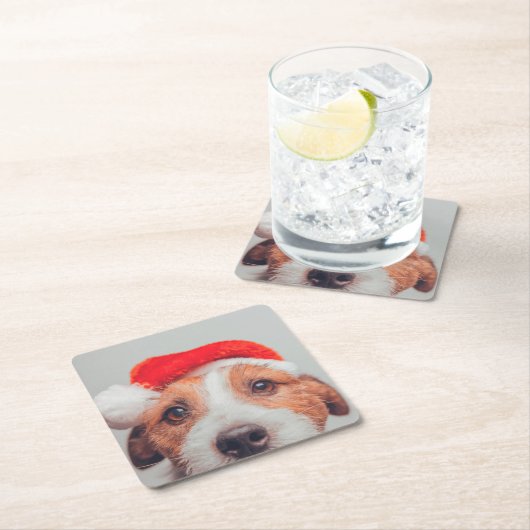 Kutest Baby Animals | Jack Russell Dog Santa Claus Kartonnen Onderzetters (Insitu)