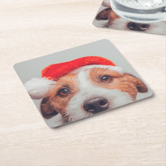 Kutest Baby Animals | Jack Russell Dog Santa Claus Kartonnen Onderzetters (Schuin)
