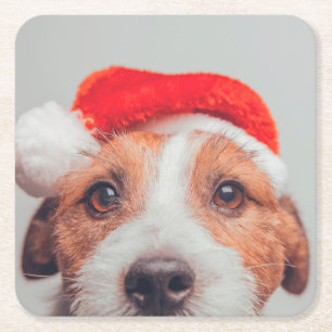 Kutest Baby Animals   Jack Russell Dog Santa Claus Kartonnen Onderzetters