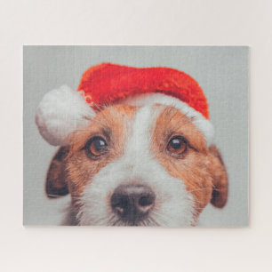 Kutest Baby Animals   Jack Russell Dog Santa Claus Legpuzzel